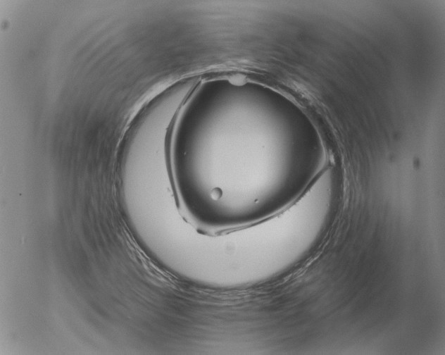 X0000053051308200508011837