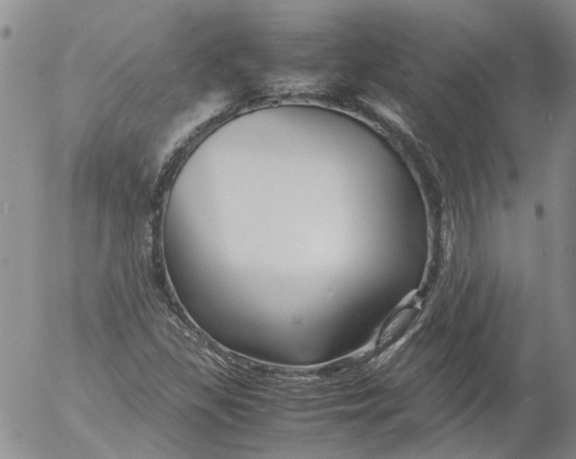 X0000053051309200508011837