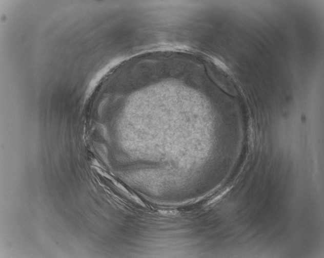 X0000053051310200508011837