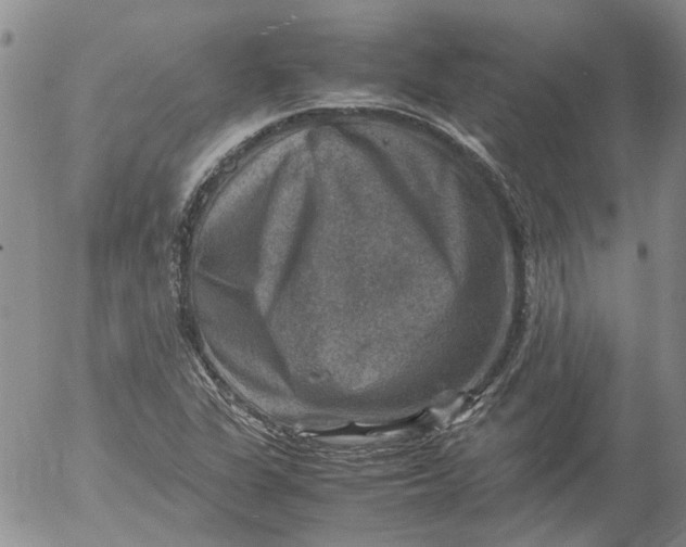 X0000053051311200508011837