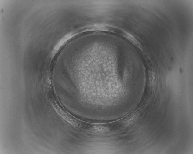 X0000053051312200508011837