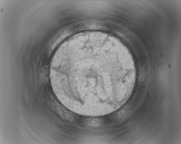 X0000053051314200508011837