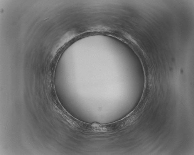 X0000053051315200508011837