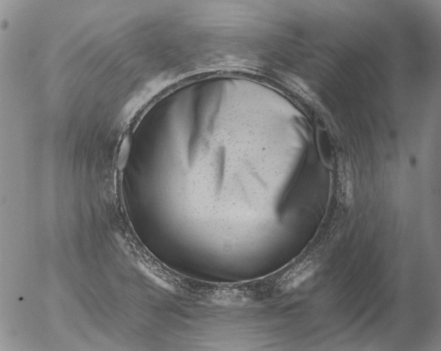 X0000053051316200508011837