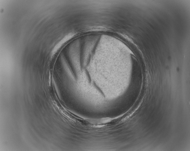 X0000053051317200508011837