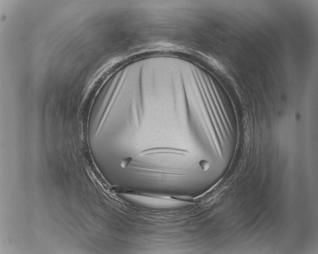 X0000053051318200508011837