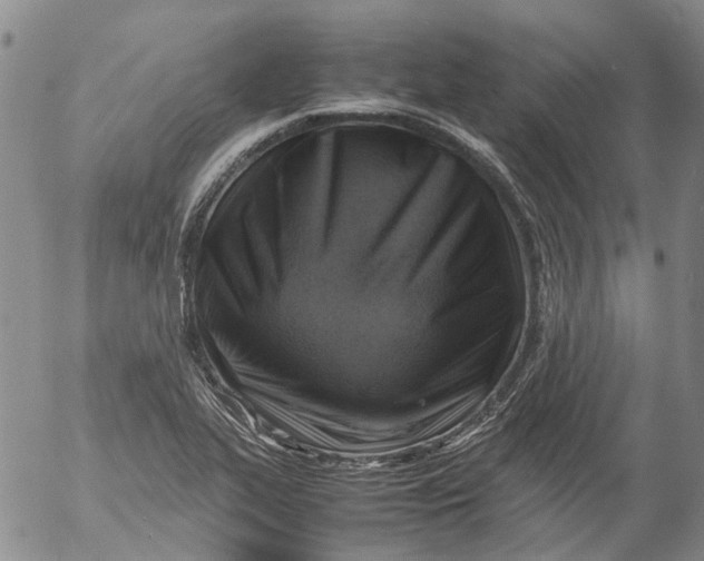 X0000053051319200508011838