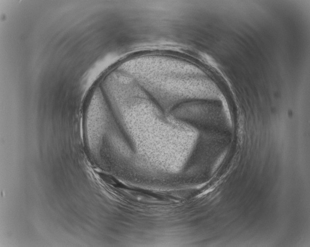 X0000053051320200508011838