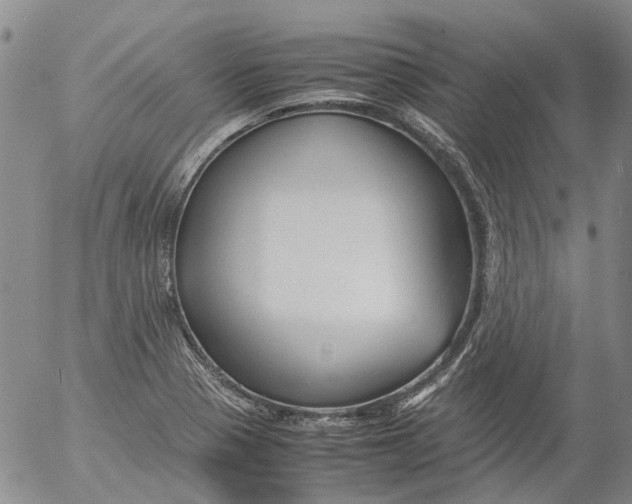 X0000053051321200508011838