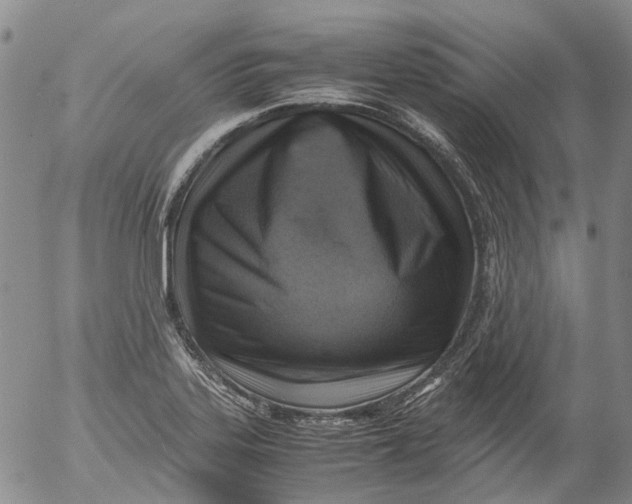 X0000053051323200508011838