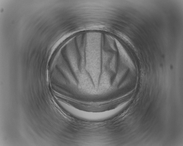 X0000053051324200508011838