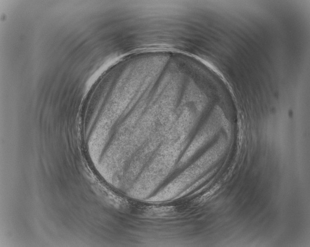 X0000053051325200508011838