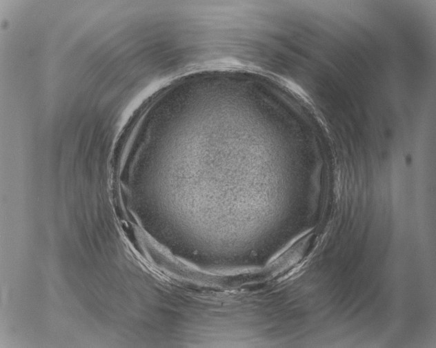 X0000053051326200508011838