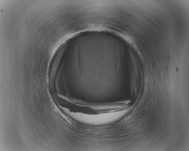 X0000053051327200508011838