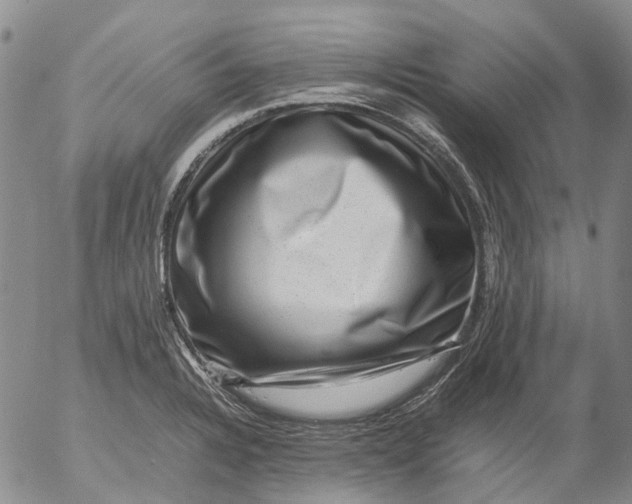 X0000053051328200508011838