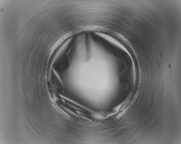 X0000053051330200508011838