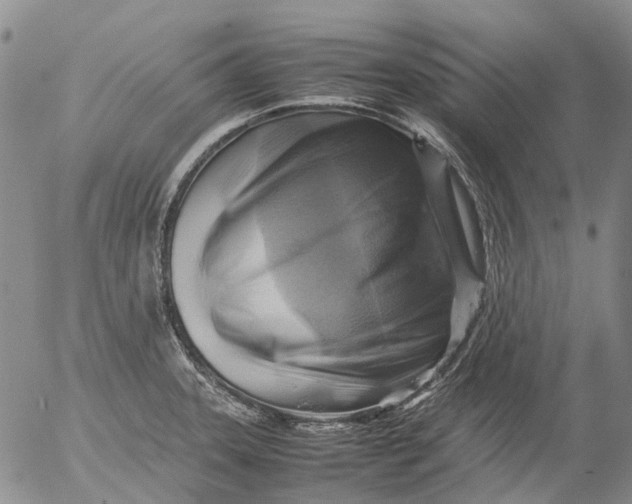 X0000053051331200508011838