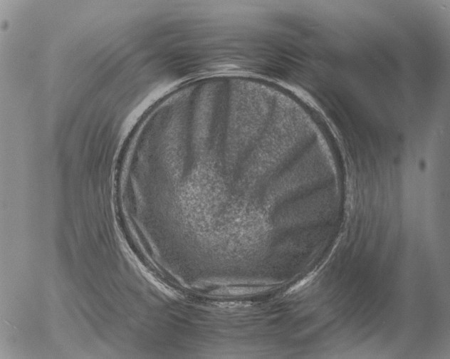 X0000053051333200508011838