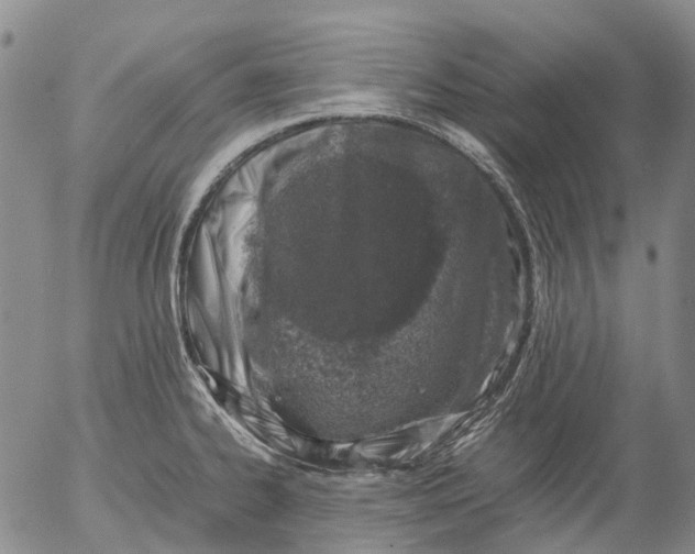 X0000053051334200508011838