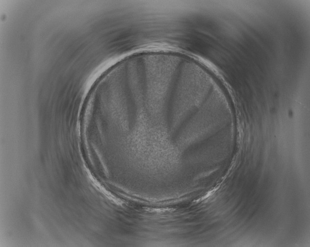 X0000053051335200508011838