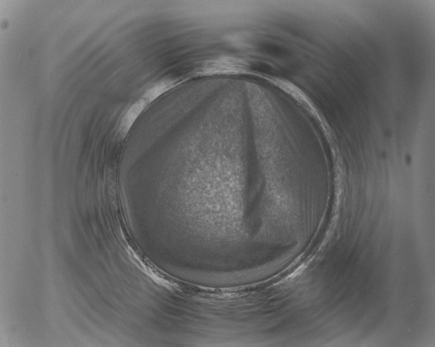 X0000053051337200508011838