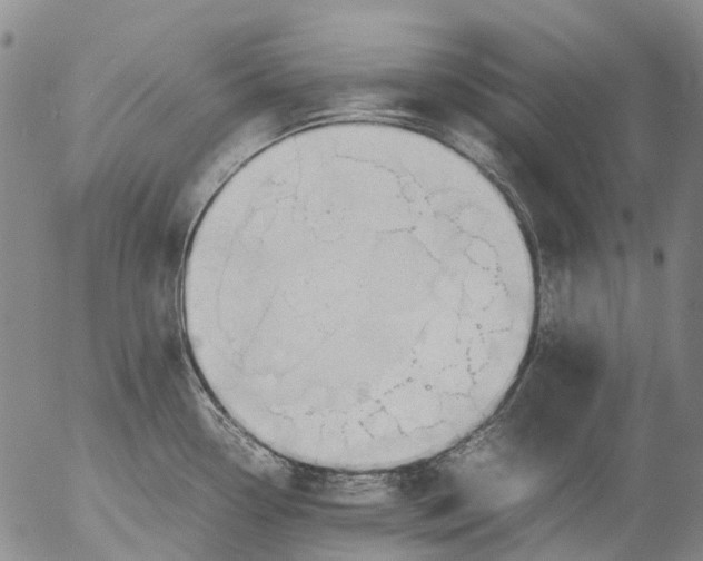 X0000053051338200508011838