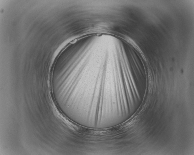 X0000053051339200508011838