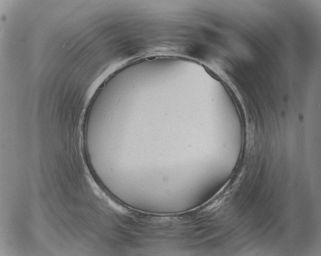 X0000053051341200508011838