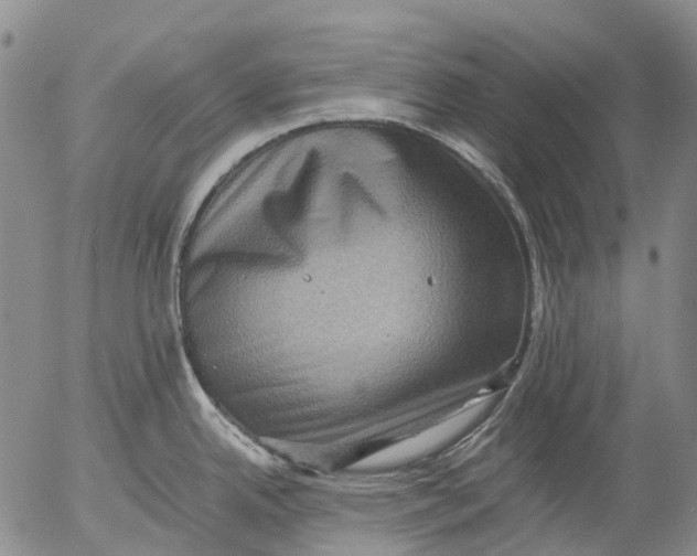 X0000053051342200508011838