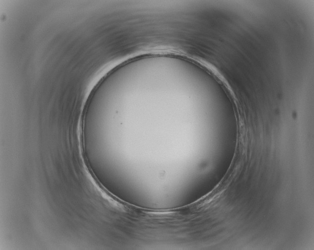 X0000053051343200508011838