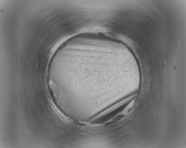 X0000053051344200508011838