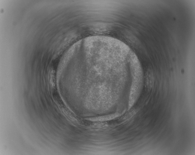 X0000053051346200508011837