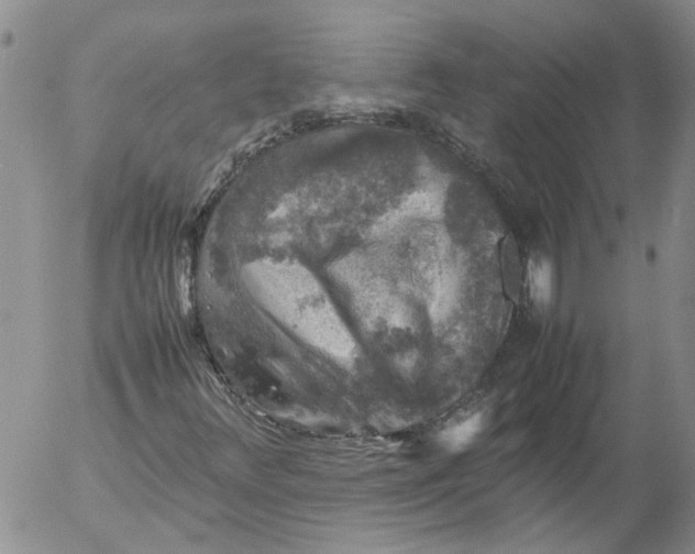 X0000053051348200508011837