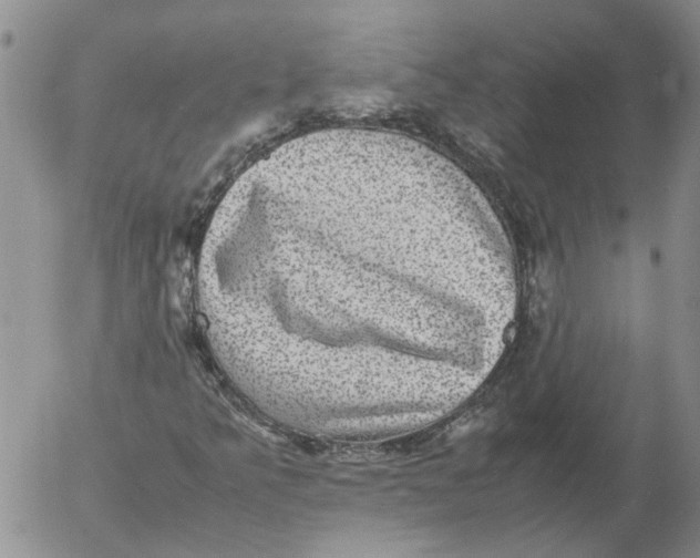 X0000053051349200508011837