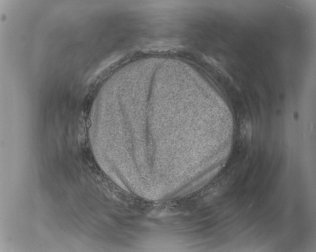 X0000053051350200508011837