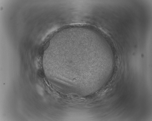 X0000053051351200508011837