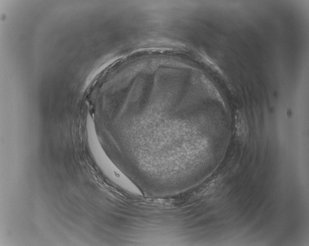 X0000053051352200508011837