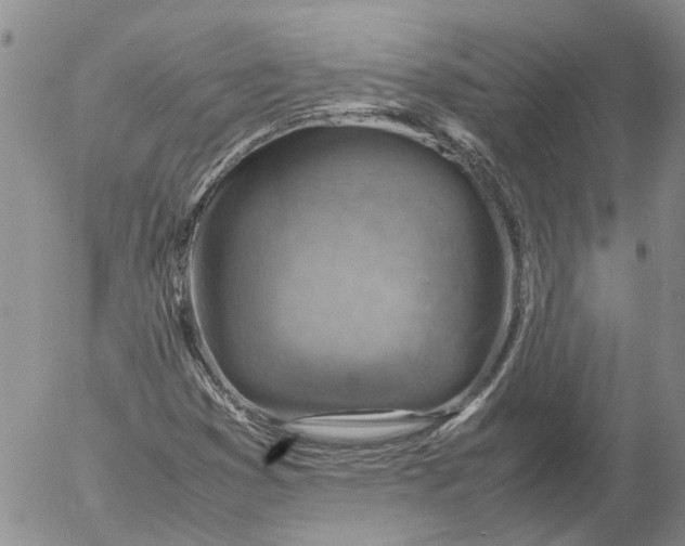 X0000053051353200508011837