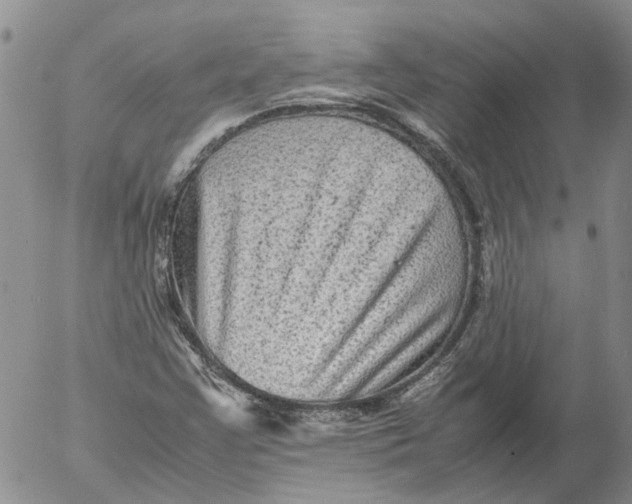 X0000053051355200508011837