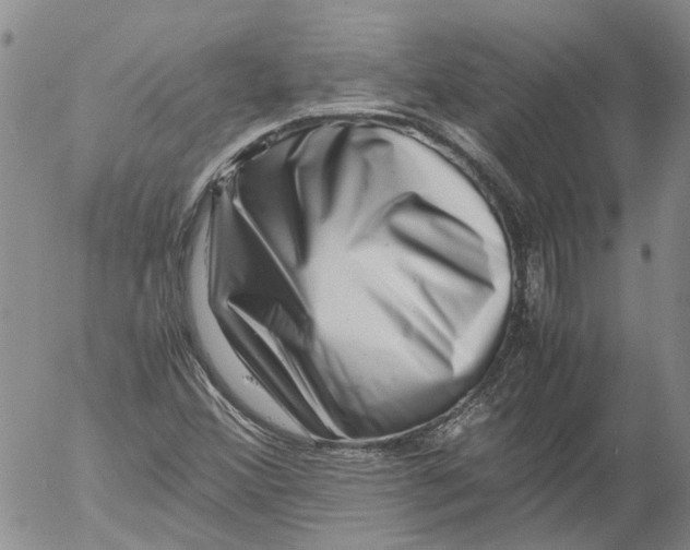 X0000053051356200508011837