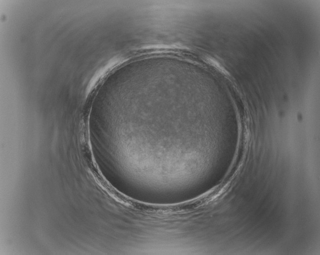 X0000053051357200508011837