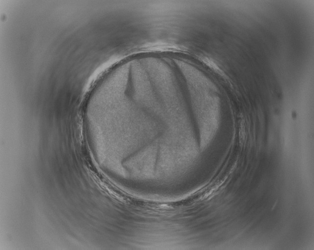 X0000053051358200508011837