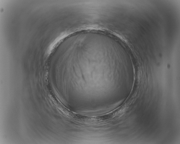 X0000053051359200508011837