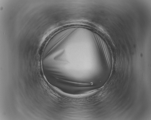 X0000053051360200508011837