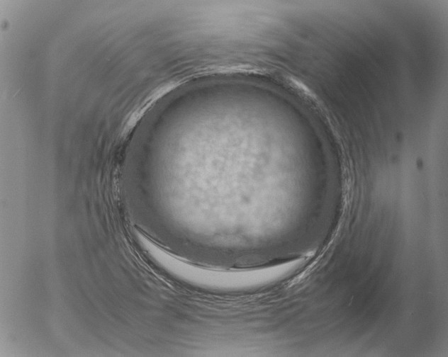 X0000053051361200508011837