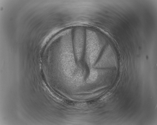 X0000053051363200508011837