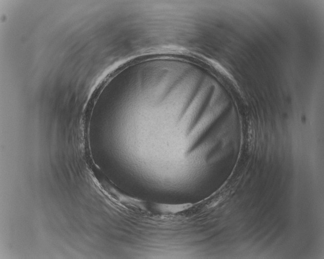 X0000053051364200508011837