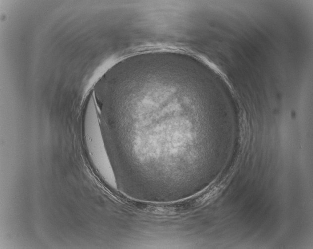 X0000053051365200508011837