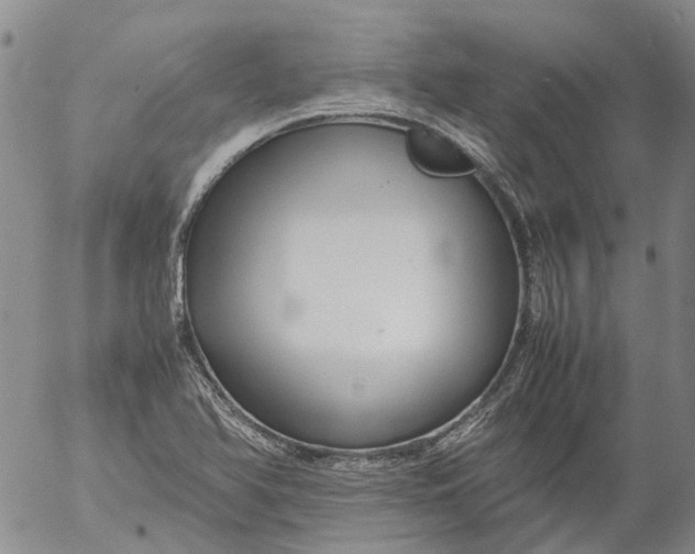 X0000053051366200508011837