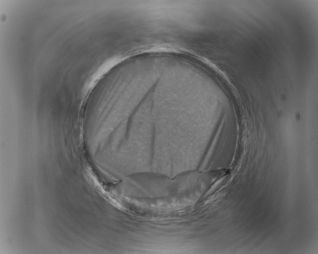 X0000053051367200508011837